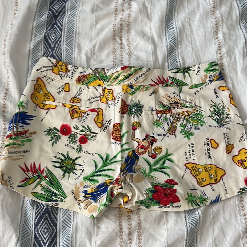 JCrew Map Shorts - Picture 5 of 5